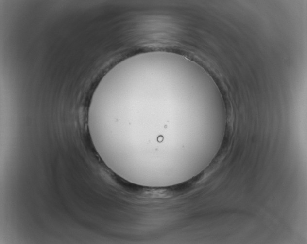 X0000112070428201007221010