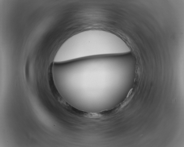 X0000112070429201007221010