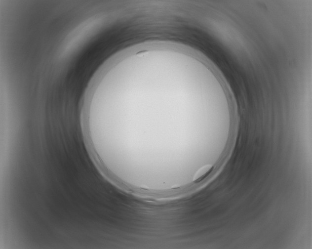 X0000112070431201007221010