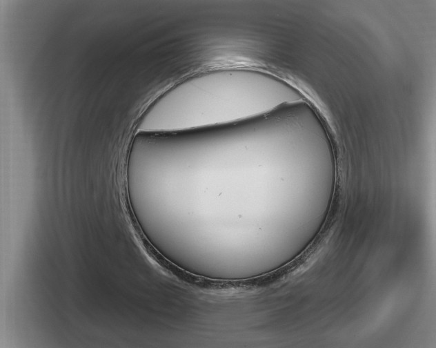 X0000112070433201007221010