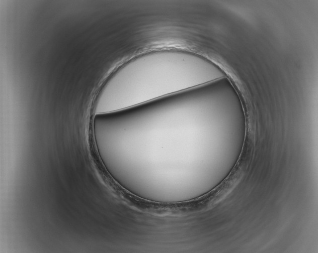 X0000112070434201007221010