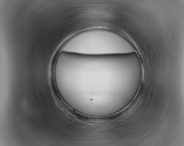 X0000112070435201007221010