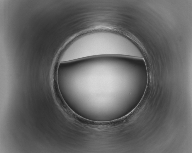 X0000112070436201007221010