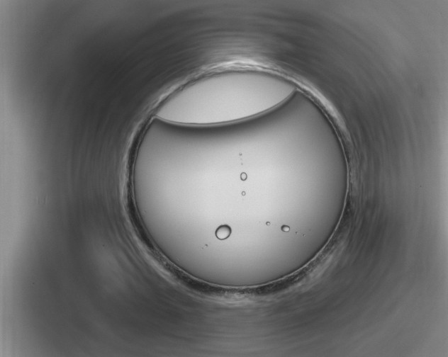 X0000112070437201007221010