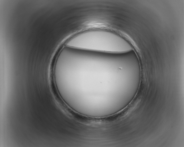 X0000112070439201007221010