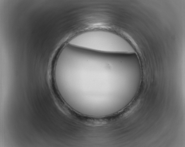X0000112070443201007221010