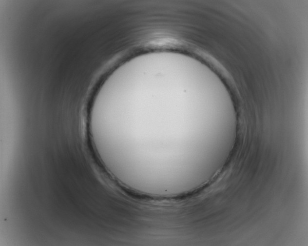 X0000112070446201007221010