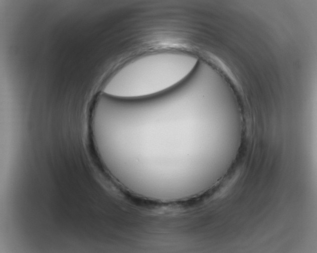 X0000112070447201007221010
