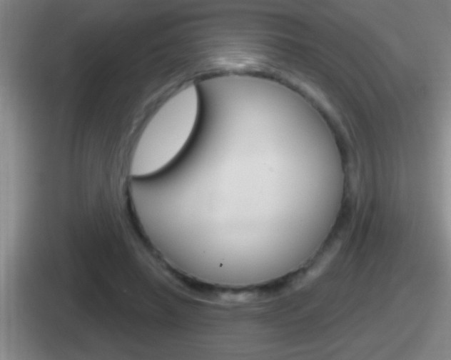 X0000112070450201007221010