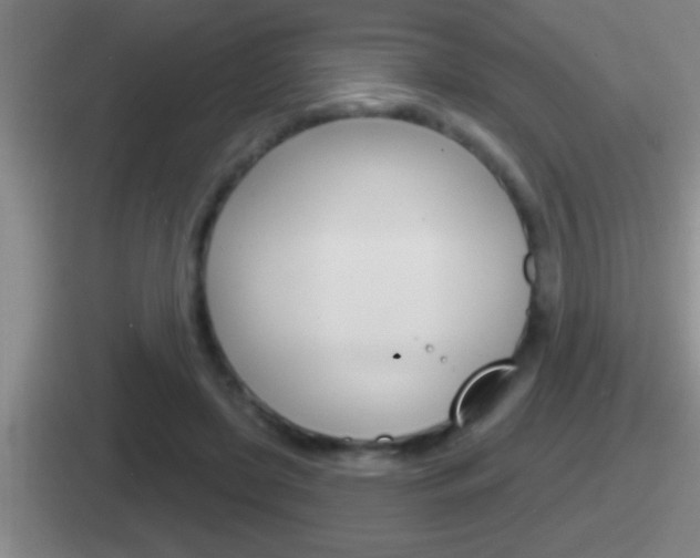 X0000112070451201007221010