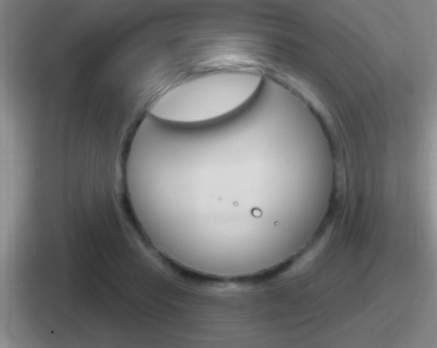 X0000112070453201007221010