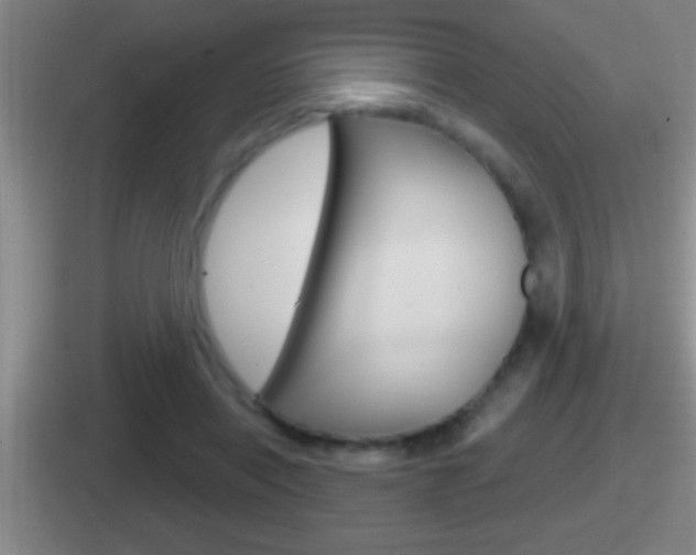 X0000112070454201007221010