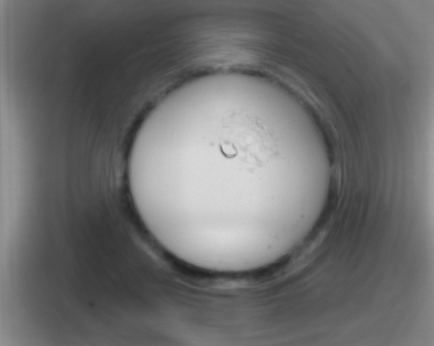X0000112070458201007221010