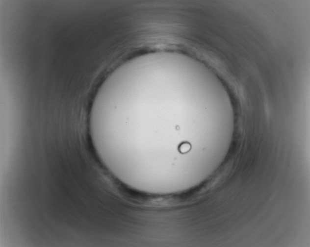 X0000112070461201007221010