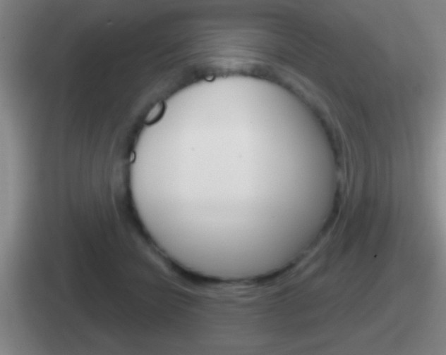 X0000112070462201007221010