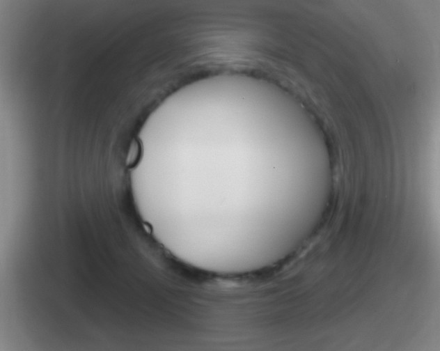 X0000112070464201007221010
