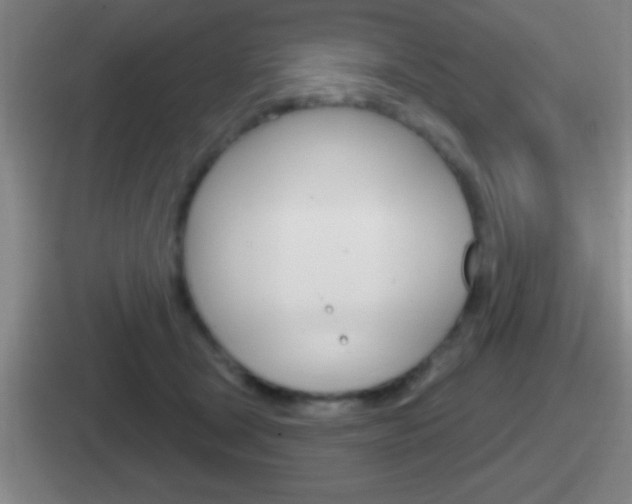 X0000112070465201007221010