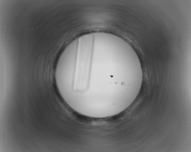 X0000112070470201007221010
