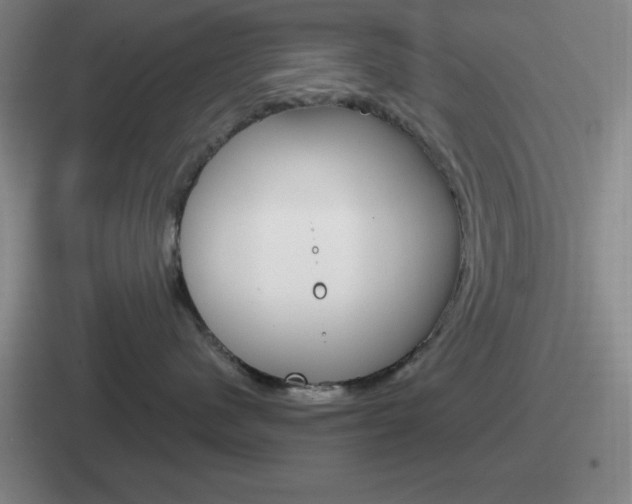 X0000112070480201007221010