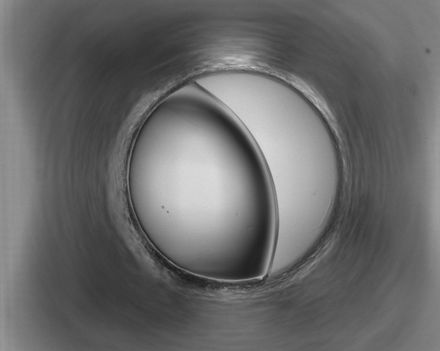 X0000112070481201007221010