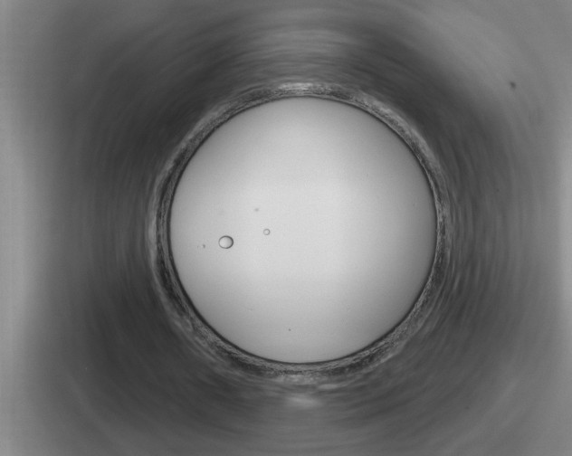 X0000112070482201007221010