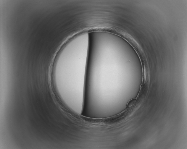 X0000112070483201007221010