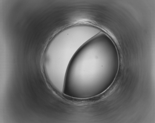 X0000112070485201007221010