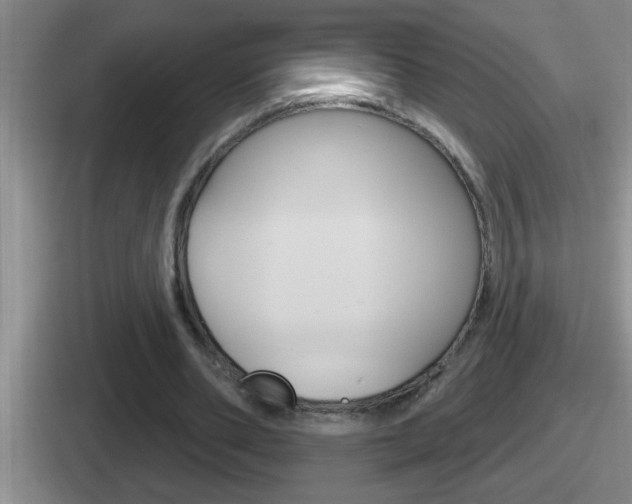 X0000112070486201007221010