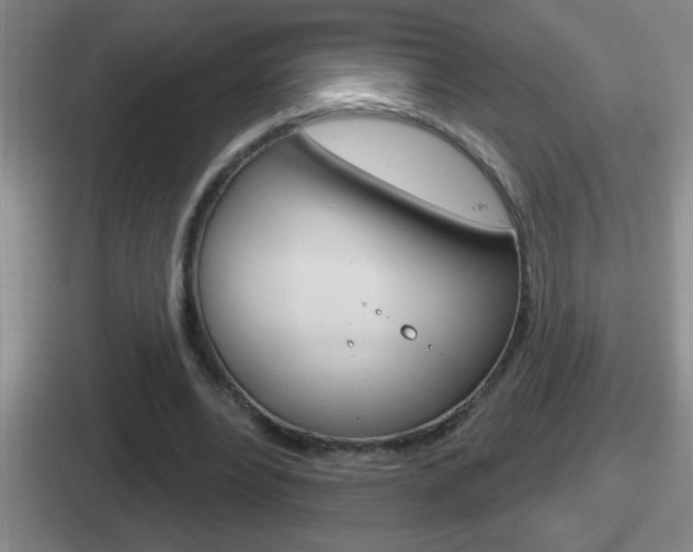 X0000112070488201007221010