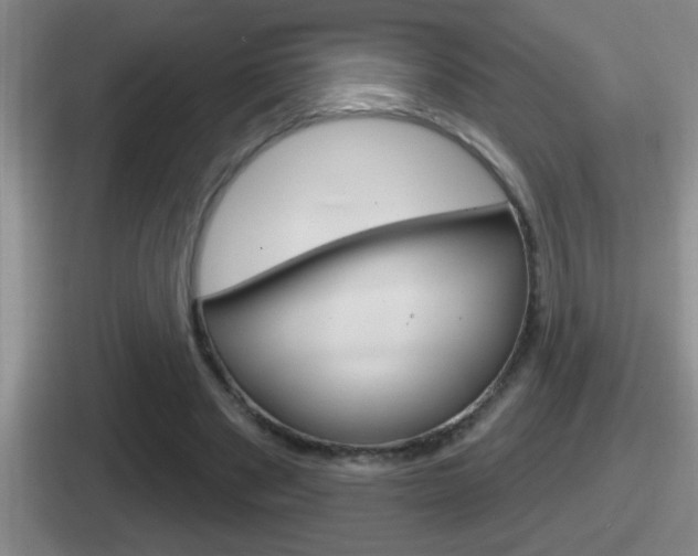 X0000112070489201007221009