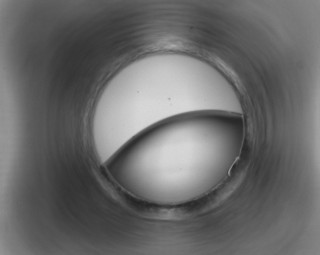 X0000112070493201007221009