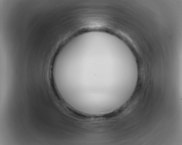 X0000112070495201007221009