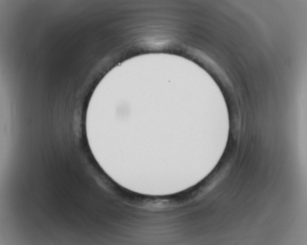 X0000112070497201007221009