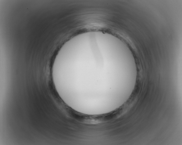 X0000112070498201007221009