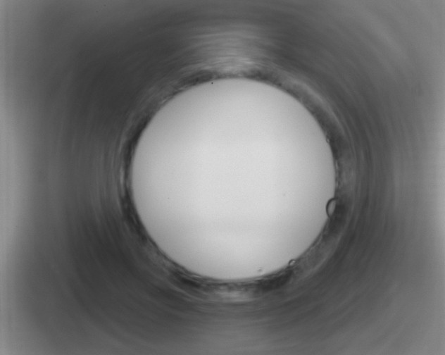 X0000112070502201007221009