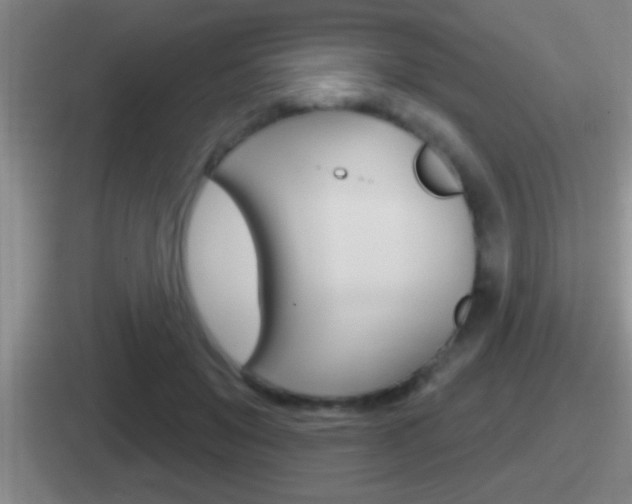 X0000112070503201007221009