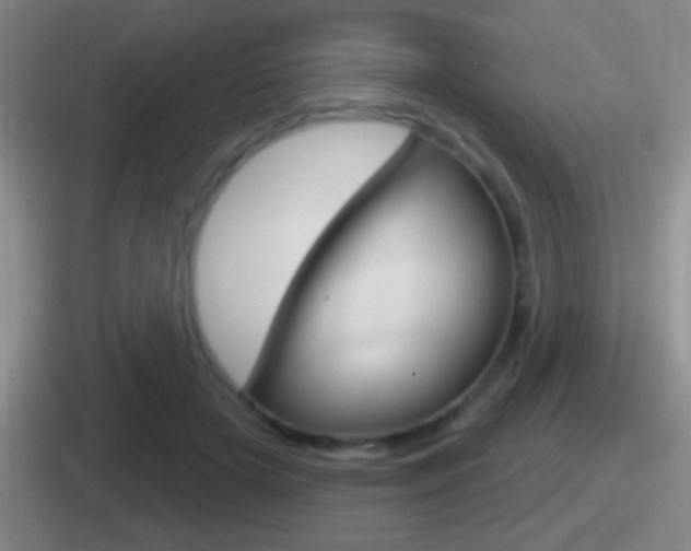 X0000112070505201007221009