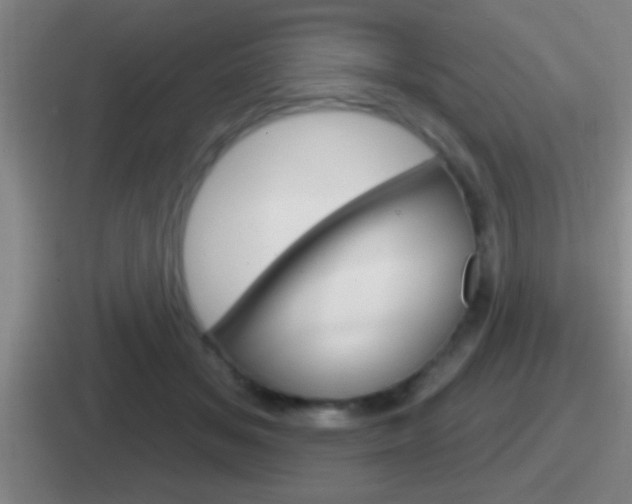 X0000112070509201007221009