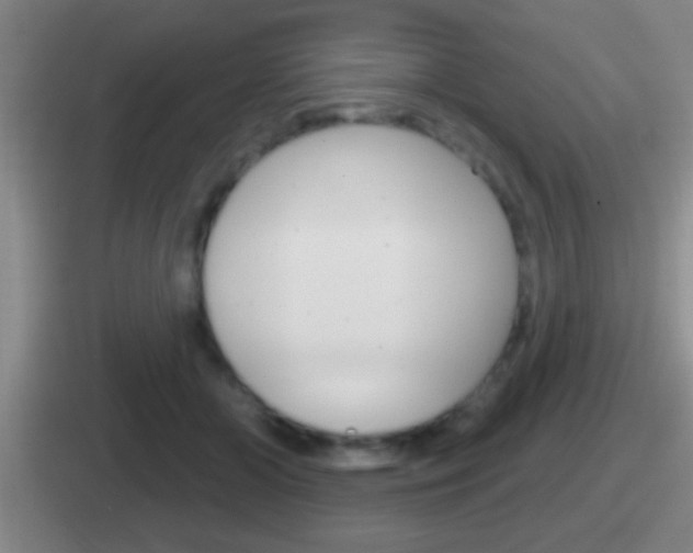 X0000112070510201007221009