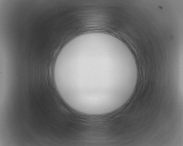 X0000112070512201007221009