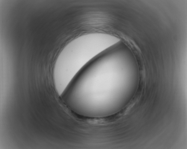X0000112070517201007221009