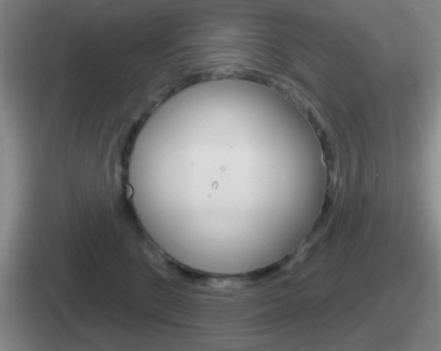 X0000112070520201007221009
