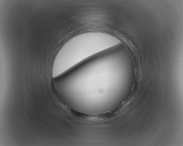 X0000112070521201007221009