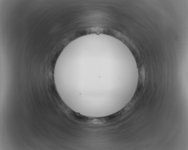 X0000112070522201007221009