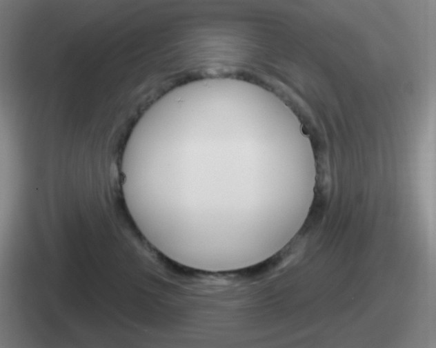 X0000112070523201007221009