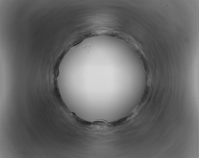 X0000112070524201007221009