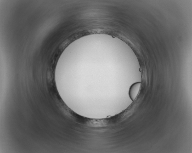 X0000112070526201007221009