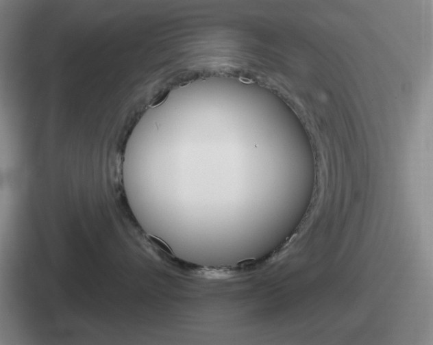 X0000112070528201007221009