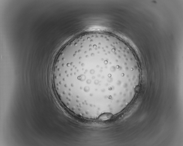 X0000112070529201007221008