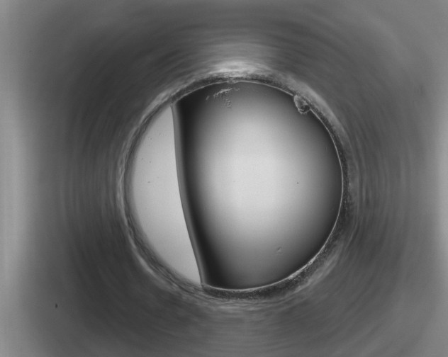 X0000112070530201007221008